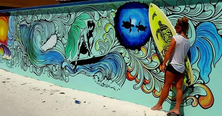 心玛芙市 Natural Surf House旅舍 外观 照片